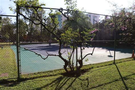 Guadalajara Mexico Public Tennis Courts-Enrique Ladron de Guevara ...