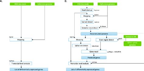 Example of the RNA-Seq analysis pipeline. (A) Typical simple pipeline.... | Download Scientific ...