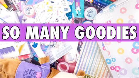 HUGE 2023 Go Wild Planner Swag Haul Flip Through Happy Planner EC