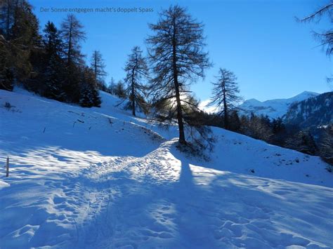 Hoch über dem Thuner und Brienzersee 6 Februar 2014 Aeschiried links