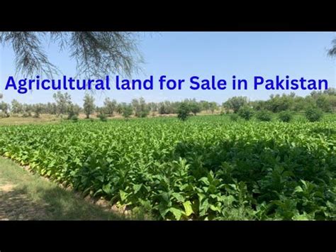 Agriculturel Land For Sale