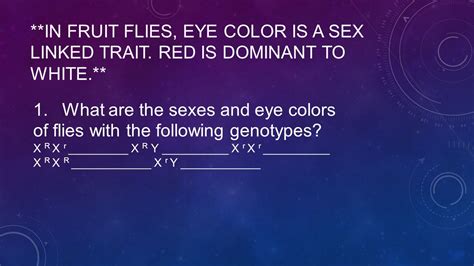 Sex Linked Inheritance Punnett Squares Ppt Download