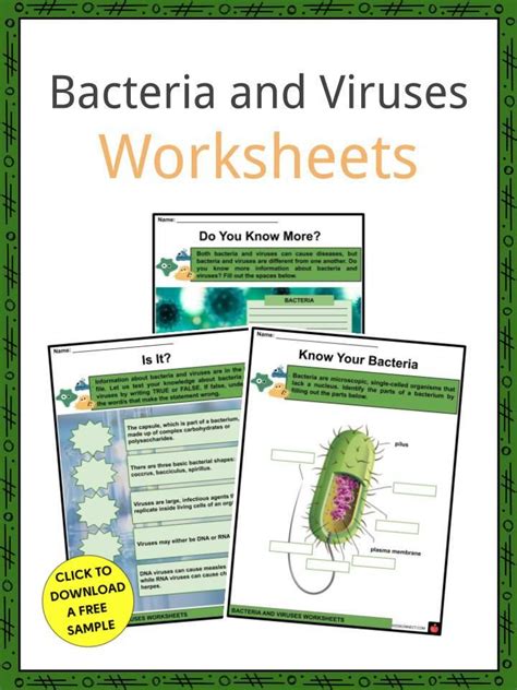 Bacteria Vs Virus Worksheet