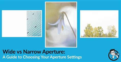 Wide Vs Narrow Aperture A Guide To Choosing The Right Aperture