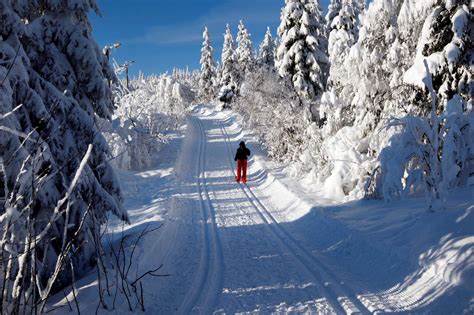 Klart For Løypeseminaret 2023