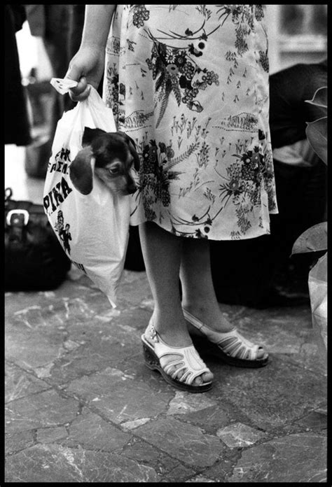 Chinese Year of the Dog • Elliott Erwitt • Magnum Photos