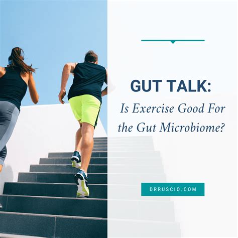 Gut Talk Is Exercise Good For The Gut Microbiome Dr Michael Ruscio Dc