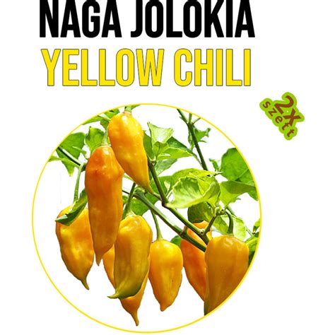 Naga Jolokia yellow chili paprika növény nevelő szett Naga Jolokia