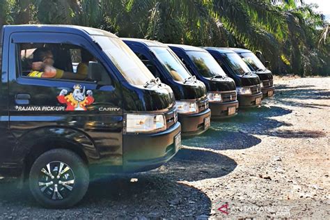 Suzuki Carry Pick Up Raih Kenaikan Pangsa Pasar 3 4 Persen