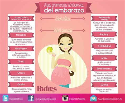 Signos Del Embarazo Síntomas De Embarazo Primeros Síntomas De