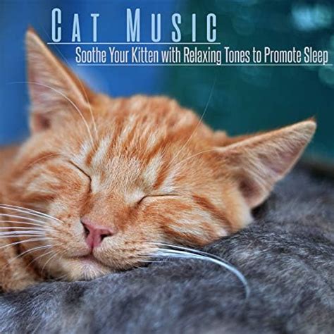 Cat Music Soothe Your Kitten With Relaxing Tones To Promote Sleep By