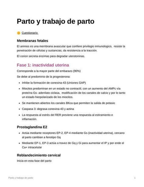 Parto y trabajo de parto fases del trabajo de parto Fer Yan Márquez