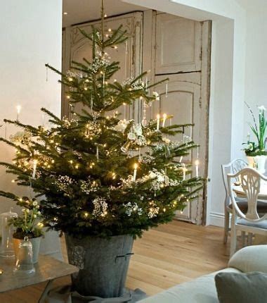 Simple Christmas Tree Pictures, Photos, and Images for Facebook, Tumblr ...