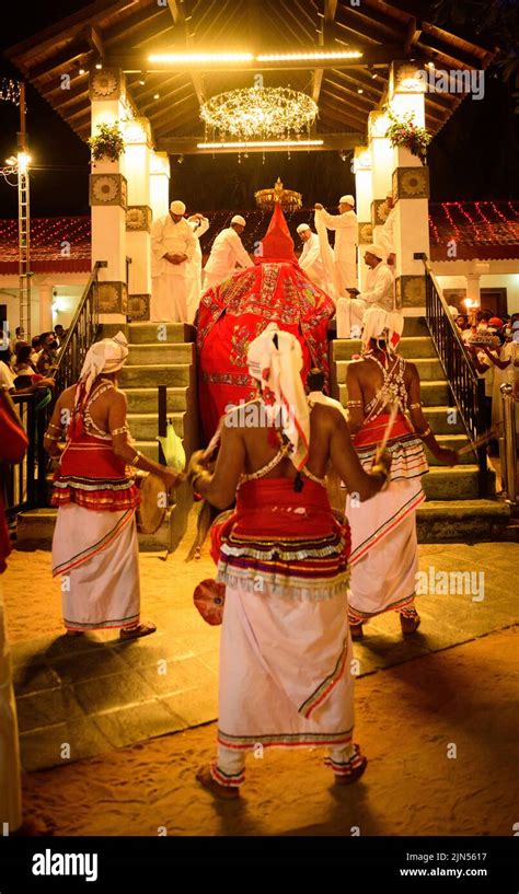 Kataragama Sri Lanka Tusker Elephant Getting Ready For