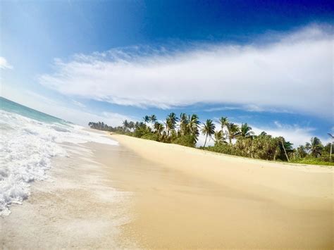 The Best Beaches in Sri Lanka — Travels Of A Bookpacker