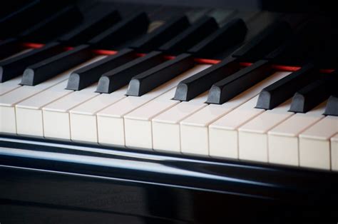 How To Read Bass Clef On Piano Audiolover