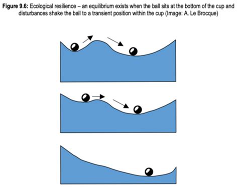 Ecology Exam 1 Flashcards Quizlet