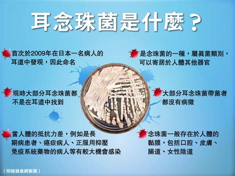 耳念珠菌跟念珠菌有什麼關係？感染途徑、治療和預防方法？ 醫生拆解耳念珠菌常見5大問題 明報健康網