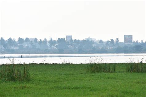 Birding at Hoskote lake - Treks and Travels