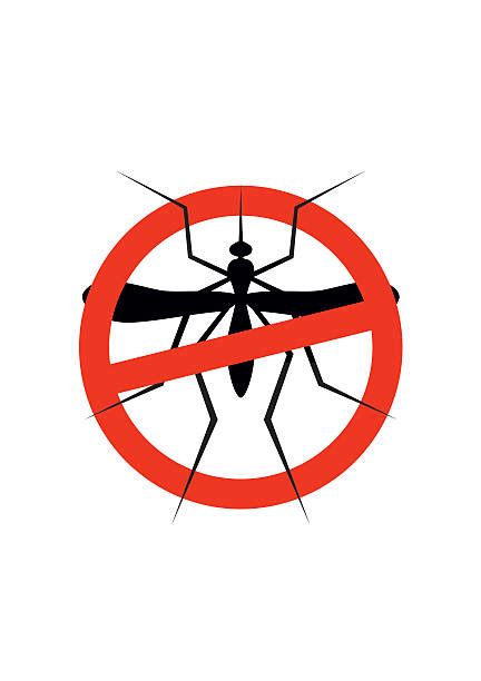 Culex Mosquito Illustrations, Royalty-Free Vector Graphics & Clip Art ...