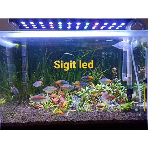 Jual Led Hpl Aquascape 36 42watt Full Lensa 40cm 120cm Shopee