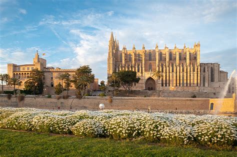 Catedral Bas Lica De Santa Mar A De Mallorca Capture Stunning Views