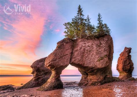 Coastal Wall Decor Of Hopewell Rocks At Bay Of Fundy Framed Art Prints