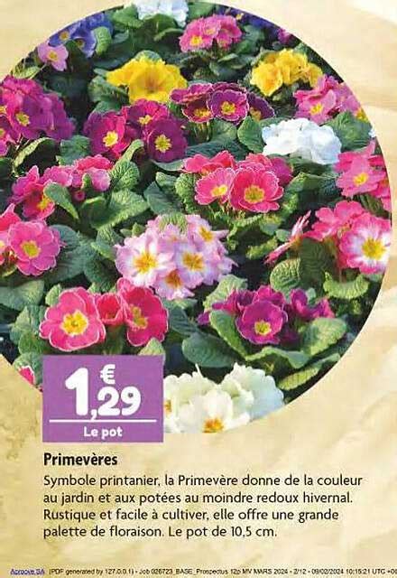 Promo Primev Res Chez Point Vert Icatalogue Fr