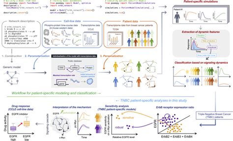 A Text Based Computational Framework For Patient Specific Modeling For