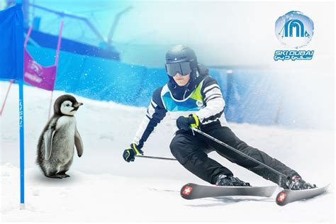 Ski Dubai: Snow Park, Penguins, Tickets, Prices, Offers