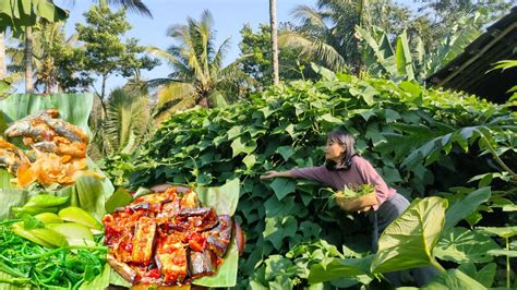 Hidup Di Desa Petik Daun Labu Masak Sambal Terong Salem Goreng Tepung