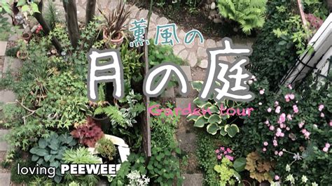 ガーデンツアー薫風の月の庭 最も見頃の時期を迎えたガーデン Mid May garden tour The best season