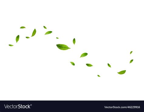 Wind Leaves