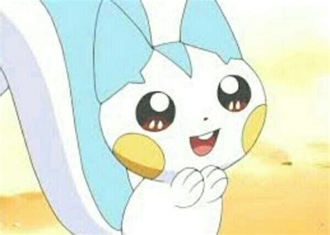 Pachirisu Wiki •pokémon• En Español Amino