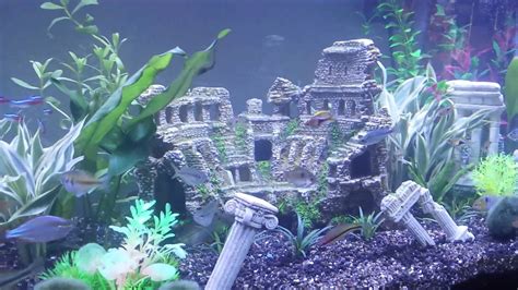 Pin by LOVE JEWEL on The Aquarium Love | Fish tank, Fish tank themes ...