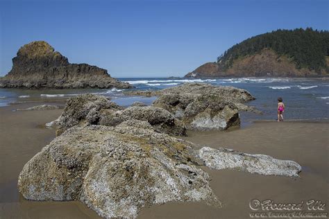 2017 Portland: Cannon Beach and the Oregon Coast - Traveler @ Home