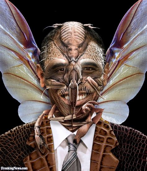 Insect Man Insect Barack Obama Pictures Of Insects Funny Pictures