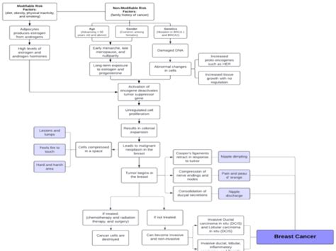 Breast Cancer Flashcards Quizlet