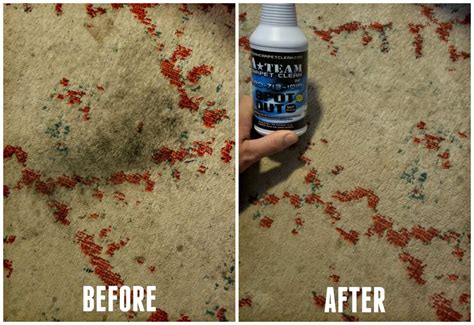 Best Carpet Stain & Pet Urine Remover - A-Team Carpet Clean