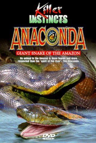 Amazon River Anaconda Facts