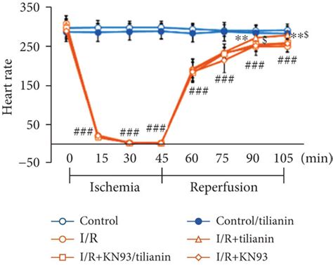 Camkii Contributes To Tilianin Protection Against Ischemia Reperfusion