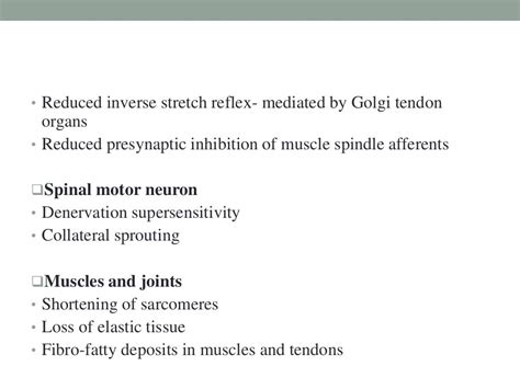 Pathophysiology Of Spasticity