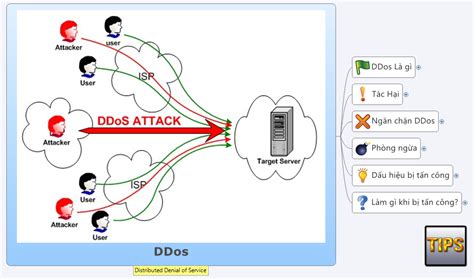 Distributed Denial Of Service DDos What S It Learn Tech Tips