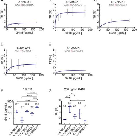 SCC Dependent Translational Readthrough Induction By Aminoglycosides