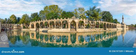 Panorama Urfa Holy Lake With Sacred Fish In Golbasi Park Royalty Free