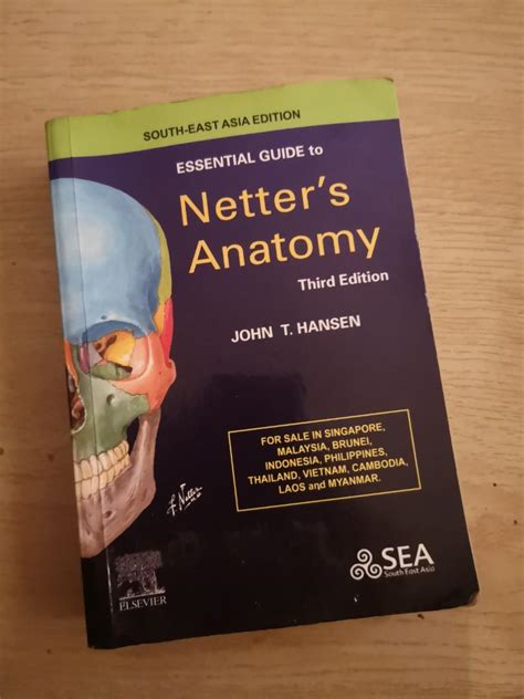 Essential Guide To Netter S Anatomy Hobbies Toys Books Magazines