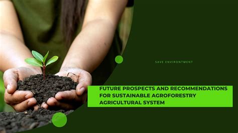 Agroforestry Sustainable Agriculture For A Greener Future