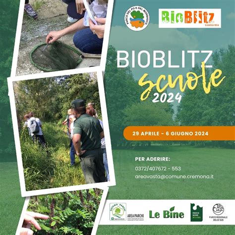 Torna Il BioBlitz Nel Parco Del Po E Del Morbasco Cremonaoggi