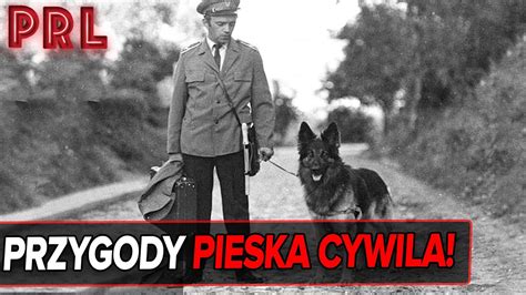 Losy Psa Z Serialu Przygody Psa Cywila Historia Z Koprem Youtube