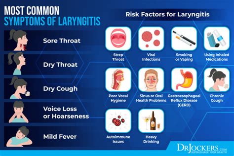 Laryngitis Symptoms And Natural Support Strategies